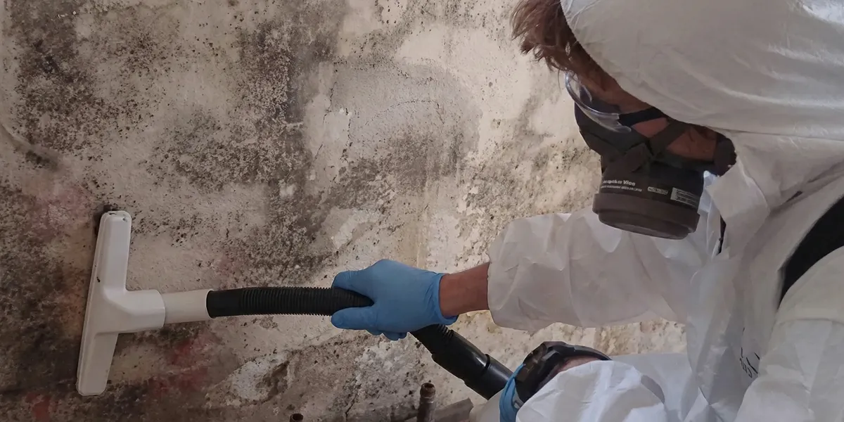 professional mold removal technician wearing protective equipment removing mold from a wall in Fort Wayne, IN